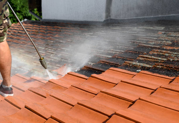 Best Best Pressure Washing Companies  in Sumner, IA